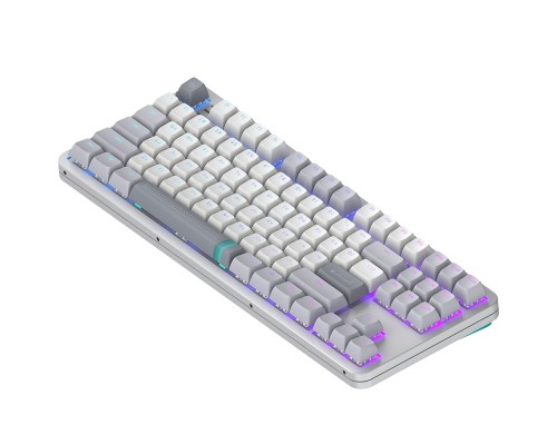 Клавіатура Dark Project ALU87 Daylight ABS RGB Mech G3MS Zircon White/Grey (DPKB_DAYLIGHT_87_ANSI_UA) Клавіатура Dark Project ALU87 Daylight ABS RGB Mech G3MS Zircon White/Grey (DPKB_DAYLIGHT_87_ANSI_UA)