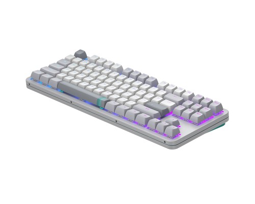 Клавіатура Dark Project ALU87 Daylight ABS RGB Mech G3MS Zircon White/Grey (DPKB_DAYLIGHT_87_ANSI_UA) Клавіатура Dark Project ALU87 Daylight ABS RGB Mech G3MS Zircon White/Grey (DPKB_DAYLIGHT_87_ANSI_UA)