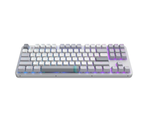 Клавіатура Dark Project ALU87 Daylight ABS RGB Mech G3MS Zircon White/Grey (DPKB_DAYLIGHT_87_ANSI_UA) Клавіатура Dark Project ALU87 Daylight ABS RGB Mech G3MS Zircon White/Grey (DPKB_DAYLIGHT_87_ANSI_UA)