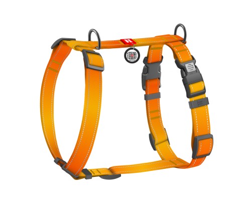 Шлея для собак WAUDOG Nylon Mono анатомічна H-подібна з QR паспортом, пластиковий фастекс, XL помаранчева (54594)
