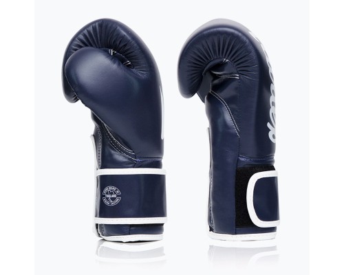 Боксерські рукавички Fairtex BGV14 Blue 12 унцій (бинти в комплекті) (BGV14_12oz_Blue)