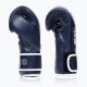 Боксерські рукавички Fairtex BGV14 Blue 12 унцій (бинти в комплекті) (BGV14_12oz_Blue)