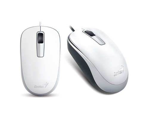 Мишка Genius DX-125 USB White (31010106102)
