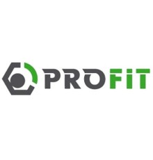 Повітряний фільтр для автомобіля Profit 1512-4246