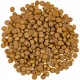 Сухий корм для кішок Savory Adult Cat Gourmand Fresh Salmon and White Fish 8 кг (4820232630037)