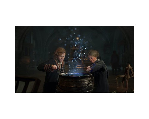 Гра Sony Hogwarts Legacy. Deluxe Edition, BD диск (5051895415412)