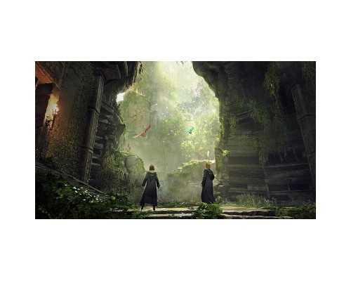 Гра Sony Hogwarts Legacy. Deluxe Edition, BD диск (5051895415412)