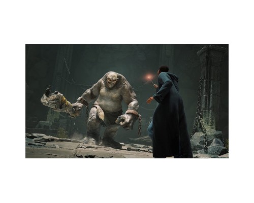 Гра Sony Hogwarts Legacy. Deluxe Edition, BD диск (5051895415412)