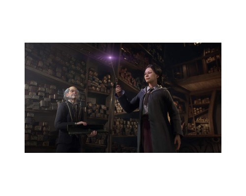 Гра Sony Hogwarts Legacy. Deluxe Edition, BD диск (5051895415412)