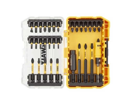 Набір біт DeWALT EXTREME FLEXTORQ, Phillips,Pozidriv,Torx, Slotted,Pz3, T25, 32 шт, кейс (DT70743T)