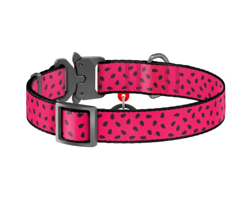 Нашийник для тварин WAUDOG Nylon 