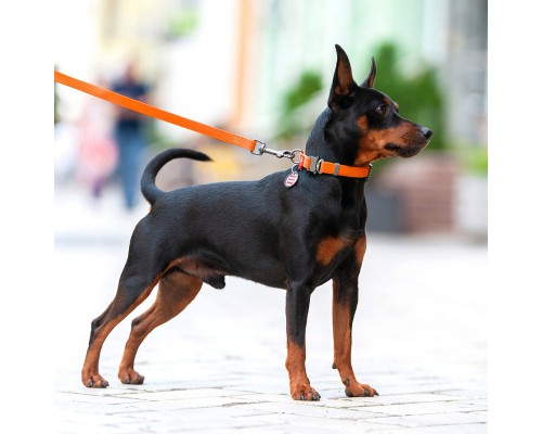 Нашийник для тварин WAUDOG Waterproof з QR паспортом L Ш 25 мм Д 31-49 см(помаранчевий) (27864)