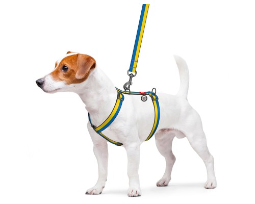 Шлея для собак WAUDOG Nylon з QR паспортом анатомічна H-подібна 