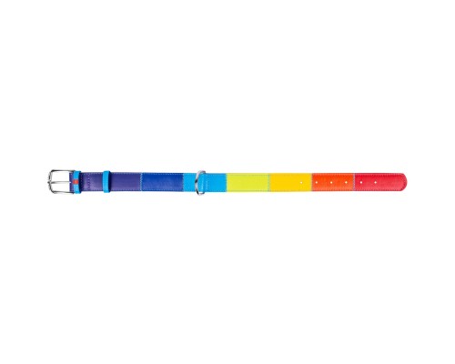 Нашийник для тварин WAUDOG Glamour з QR паспортом 