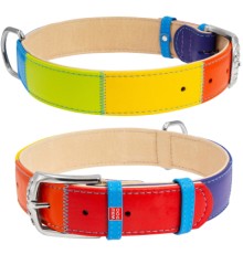 Нашийник для тварин WAUDOG Glamour з QR паспортом 