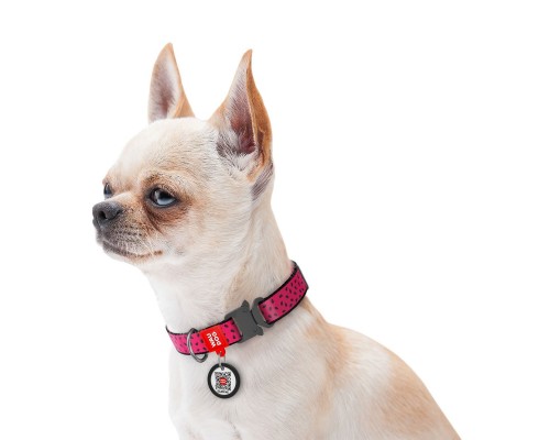 Нашийник для тварин WAUDOG Nylon 