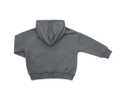 Кофта дитяча Cloise худі CLS (CL0115009-116B-gray)