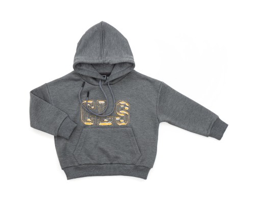 Кофта дитяча Cloise худі CLS (CL0115009-116B-gray)