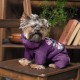 Костюм для тварин Pet Fashion LOLA ХS2 (4823082432424)