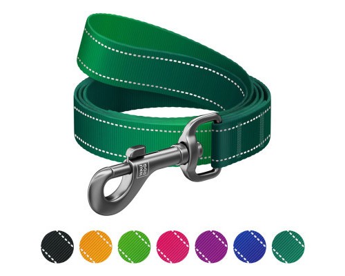 Повідок для собак WAUDOG Nylon Mono, світловідбивний S зелений (521718)