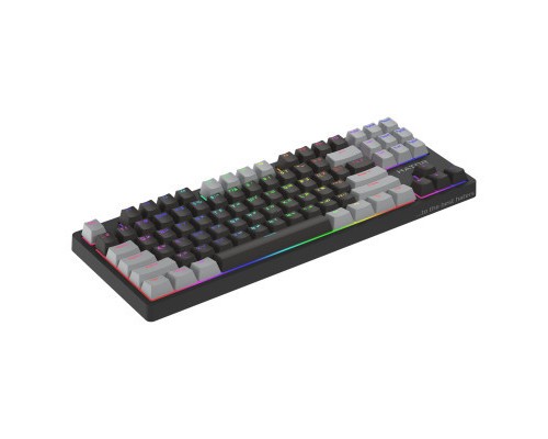 Клавіатура Hator Rockfall 2 Mecha Signature Edition USB Black/Gray (HTK-520-BBG)