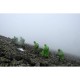 Накидка Turbat Molfar green S/M (012.005.0300)
