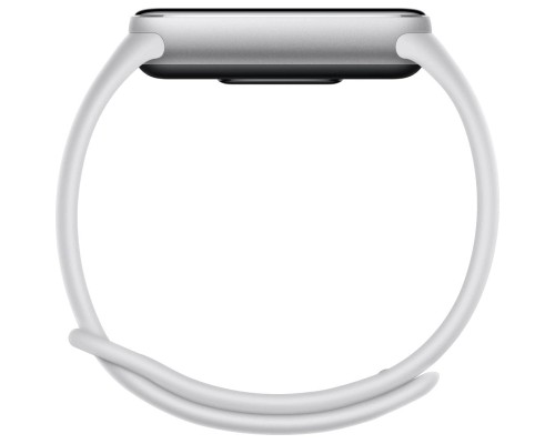 Фітнес браслет Xiaomi Smart Band 10 BHR07PSGL Срібний (1146725)