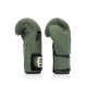 Боксерські рукавички Fairtex BGV11 Green 16 унцій (бинти в комплекті) (BGV11_16oz_Green)