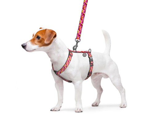 Шлея для собак WAUDOG Nylon анатомічна H-подібна з QR-паспортом 