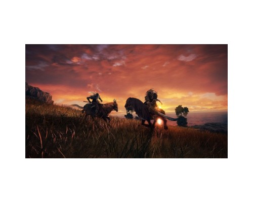 Гра Sony Elden Ring [PS5, Russian subtitles] (3391892017236)