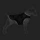 Курточка для тварин WAUDOG Clothes 