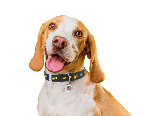 Нашийник для тварин WAUDOG Design з QR паспортом 