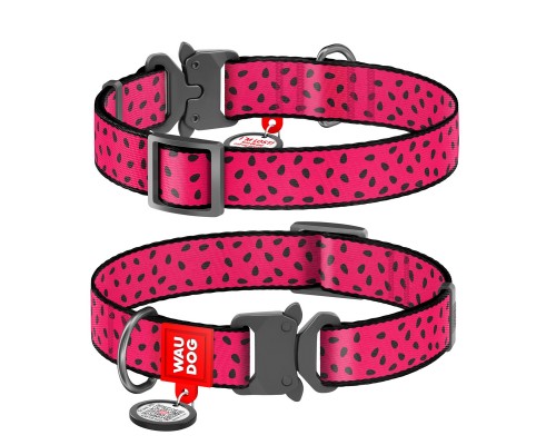 Нашийник для тварин WAUDOG Nylon 