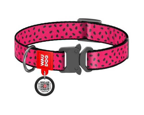 Нашийник для тварин WAUDOG Nylon 