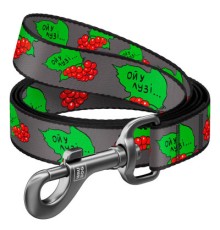 Повідок для собак WAUDOG Nylon 