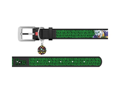 Нашийник для тварин WAUDOG Design з QR паспортом 