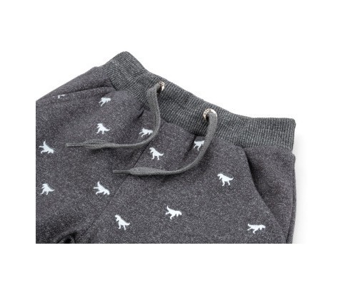Штани дитячі Breeze з динозавриками (16191-110B-gray)