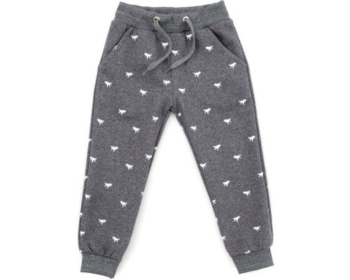 Штани дитячі Breeze з динозавриками (16191-110B-gray)