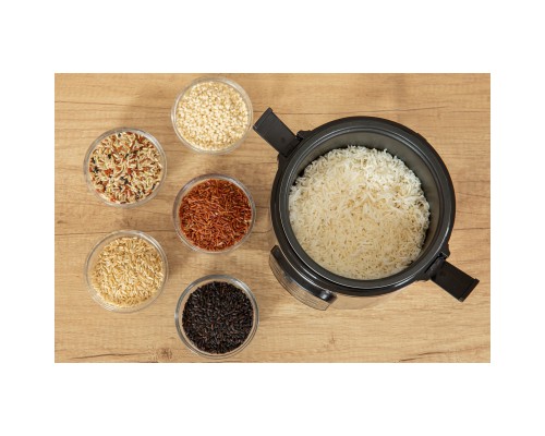 Мультипіч Sencor SRM0650SS