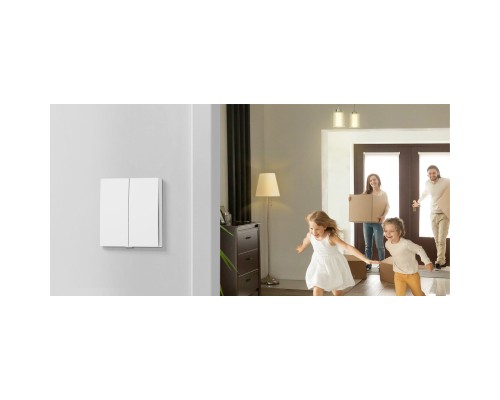 Розумний вимикач TP-Link Tapo S220 868 MHz 250V 4A (TAPO-S220)