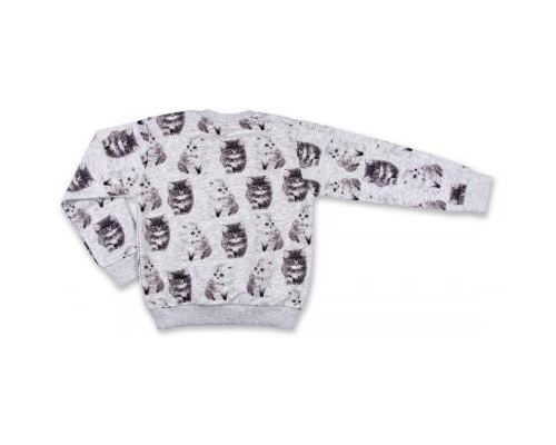 Набір дитячого одягу Breeze кофта та штани сірий меланж (7874-92G-gray)