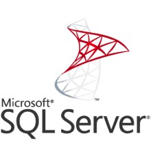 ПЗ для сервера Microsoft SQL Server 2022 Standard Edition Educational, Perpetual (DG7GMGF0M80J_0002EDU)