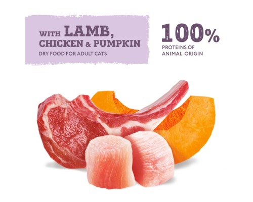 Вологий корм для кішок Optimeal беззерновий з ягням і курячим філе в гарбузовому желе 85 г (4820083905995)