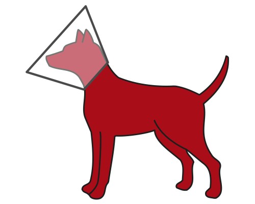 Комір для тварин Trixie на липучці M 36-43 см/18 см (4011905195148)