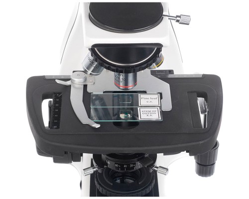 Мікроскоп Sigeta Biogenic 40x-2000x LED Bino Infinity (65259)