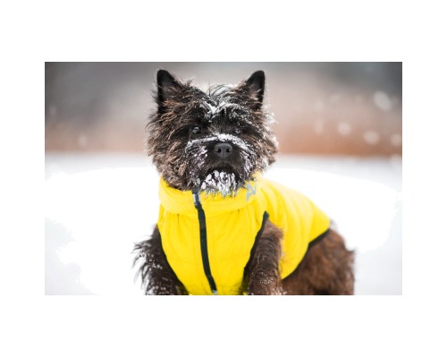 Курточка для тварин Collar AiryVest 