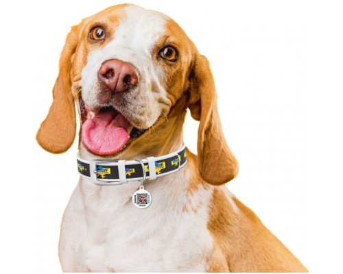 Нашийник для тварин WAUDOG Design з QR паспортом 