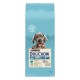 Сухий корм для собак Purina Dog Chow Puppy Large Breed зі смаком індички 14 кг (7613034487919)