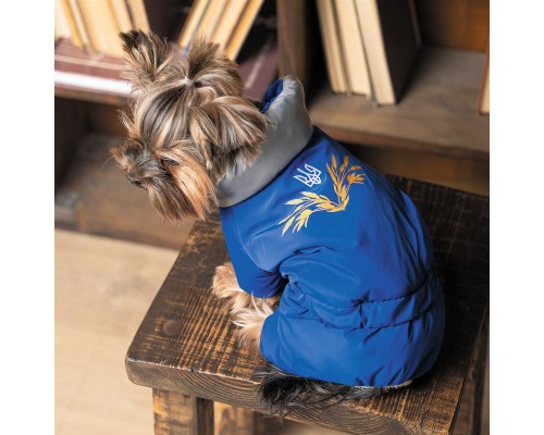 Костюм для тварин Pet Fashion ZHAN S (4823082432394)