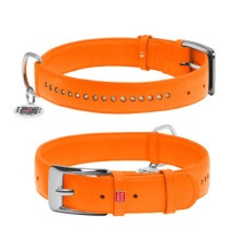Нашийник для тварин WAUDOG Glamour з QR-паспортом, подвійний Ш 35 мм Д 46-60 см помаранчевий (38824)